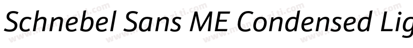 Schnebel Sans ME Condensed Light字体转换